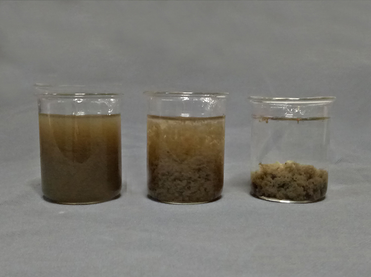 印染污水絮凝剂烧杯选型实验